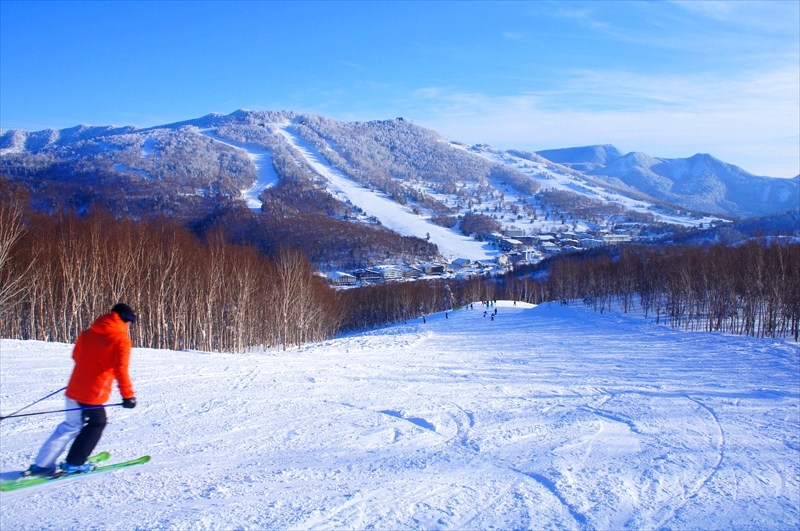 DSC00449_R