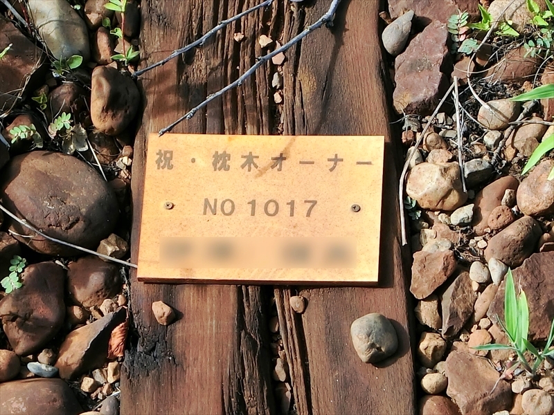 CIMG1018_R