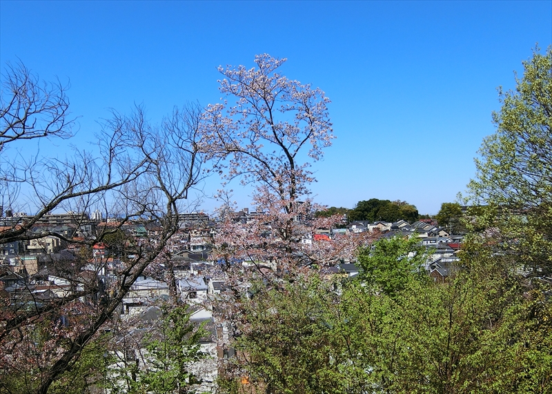CIMG1382_R