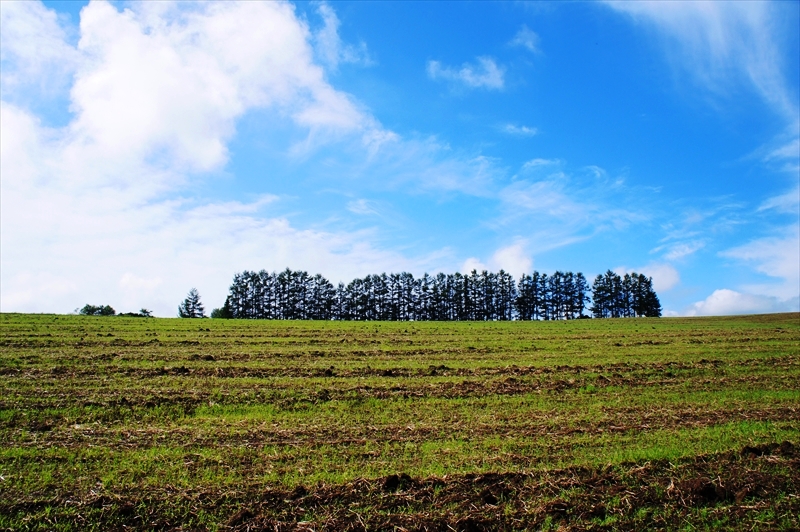 DSC01111_R