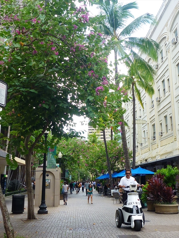 P1030057_R