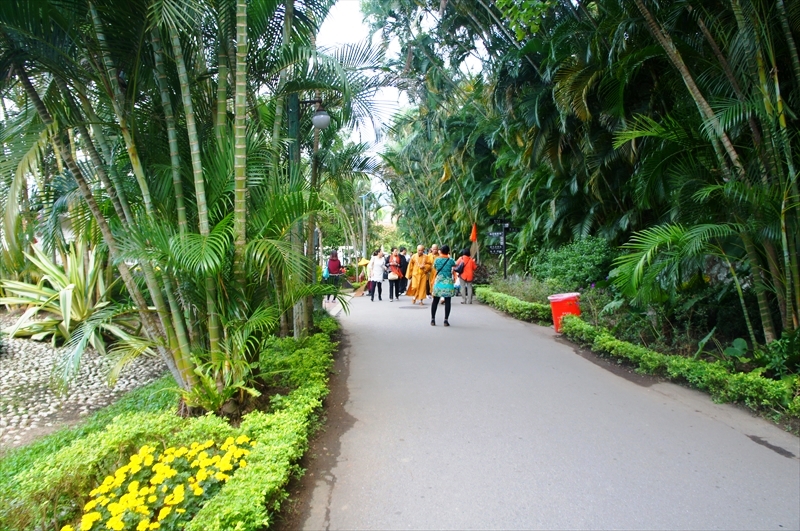 DSC00507_R