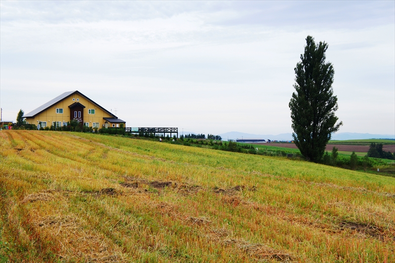 DSC00554_R