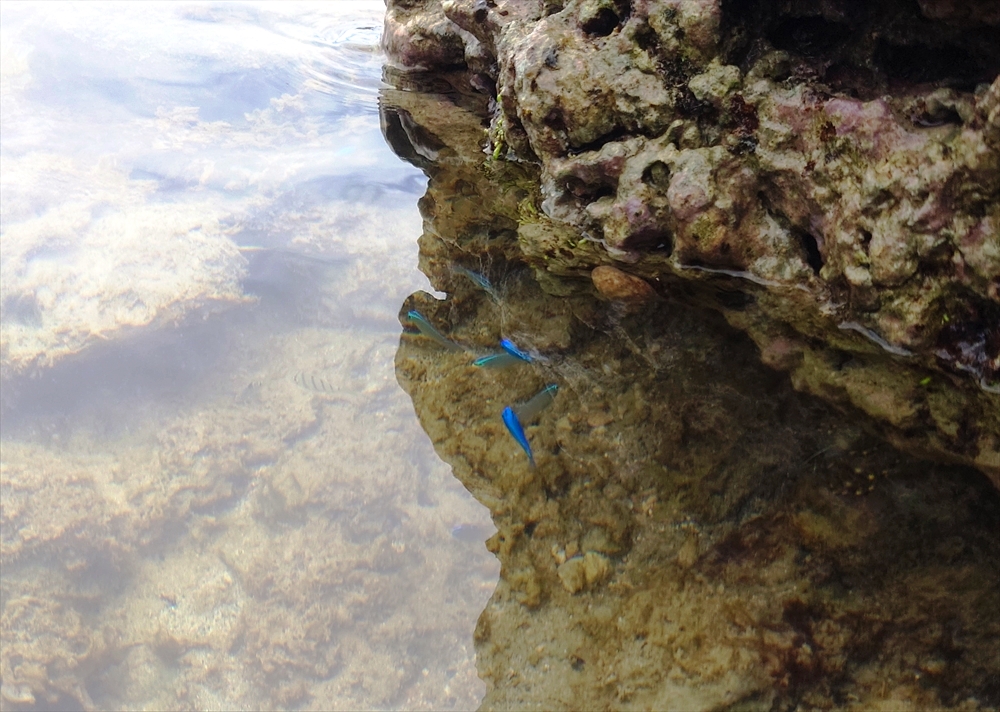 20250708_111710_R
