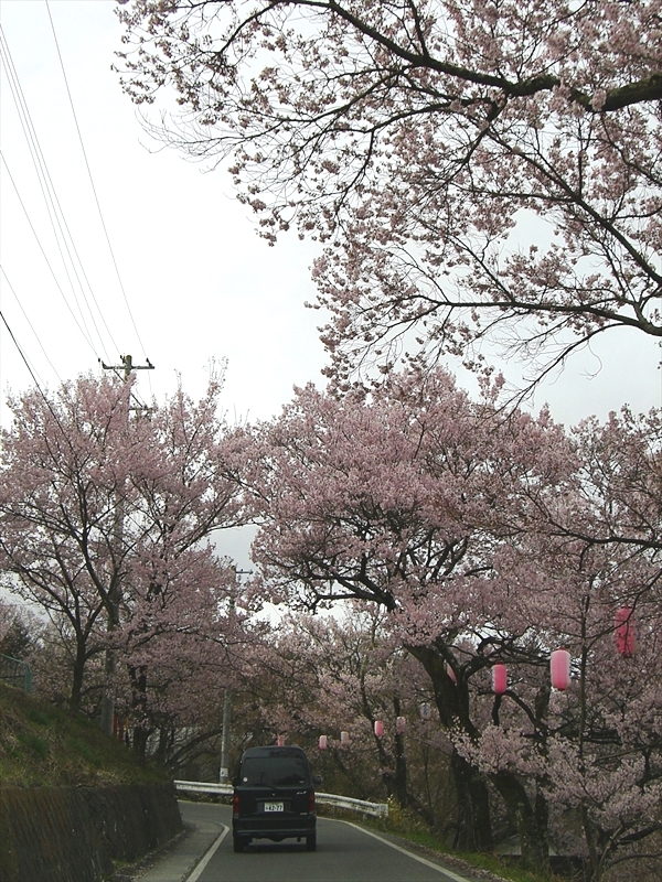 CIMG3493_R