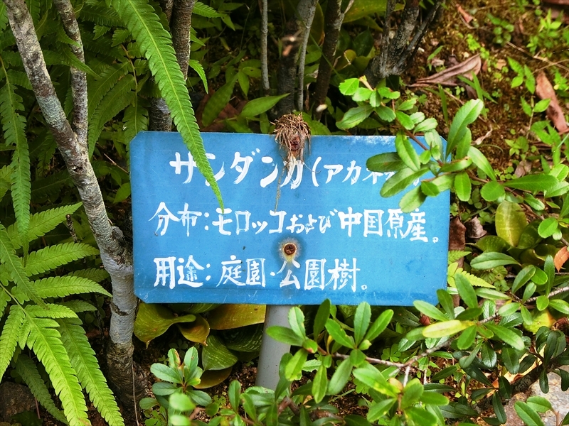 CIMG6955_R