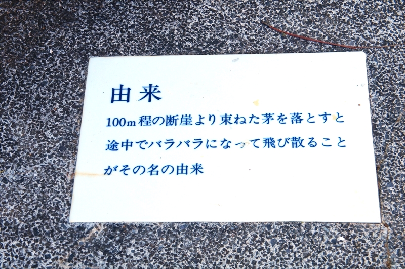 DSC00844_R