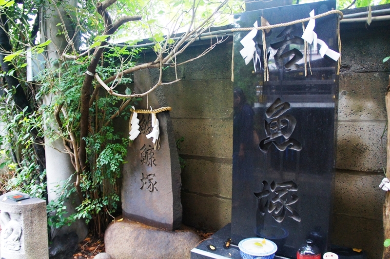 DSC00577_R