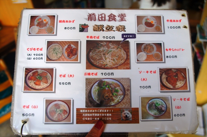 DSC00876_R
