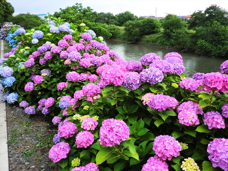 CIMG0177_R