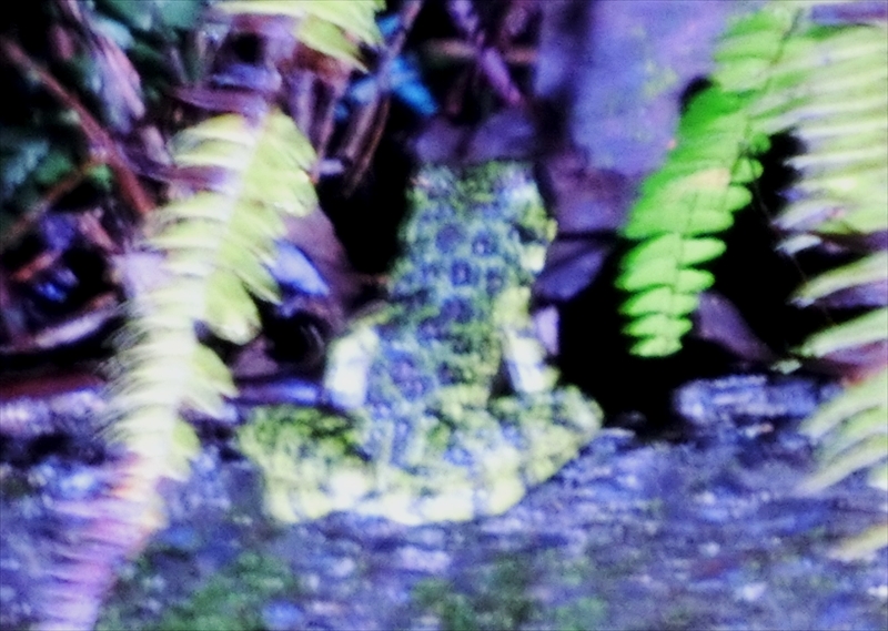 CIMG9028_R