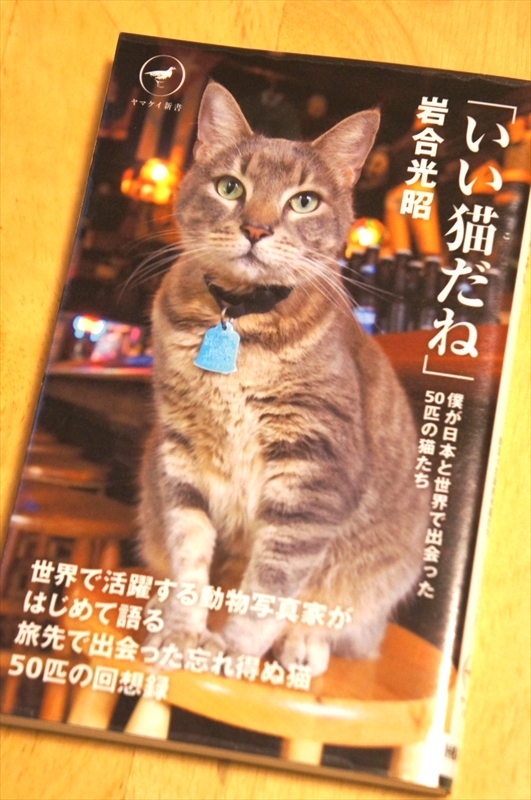 DSC01945_R