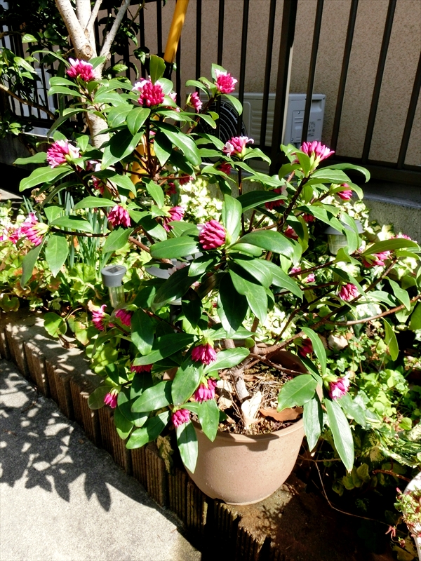 CIMG7847_R
