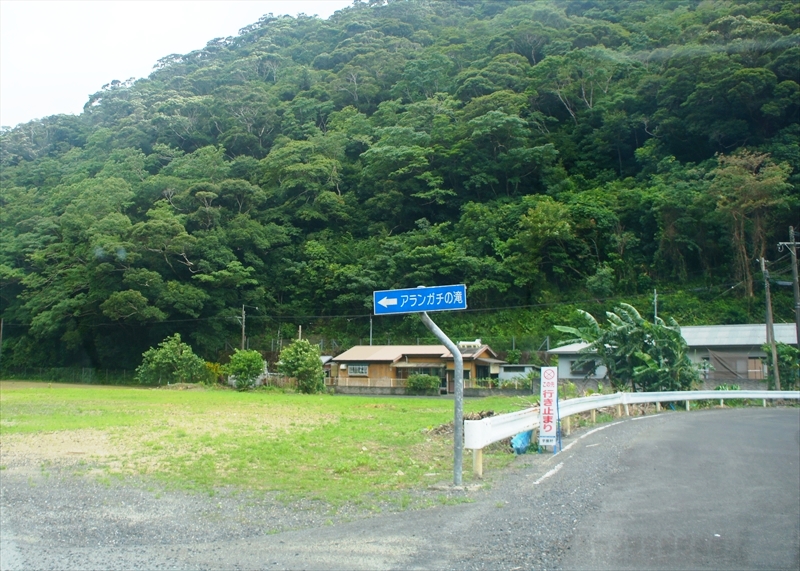 DSC00299_R