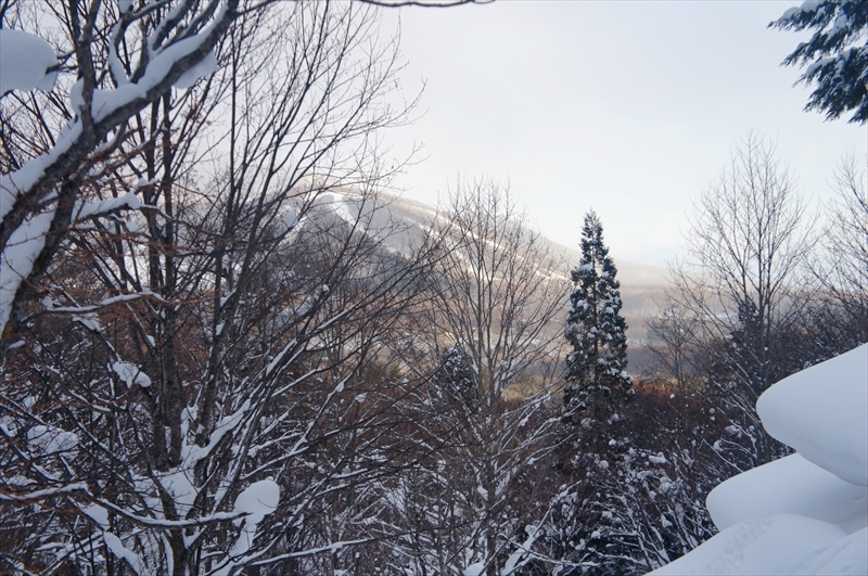 DSC00201_R