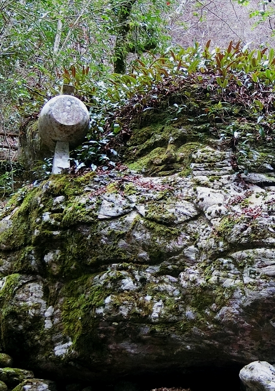 CIMG5683_R