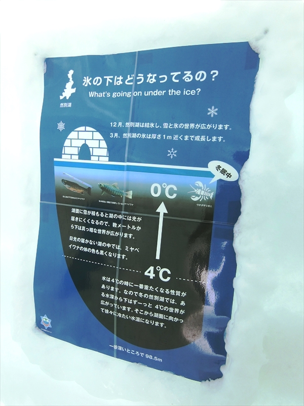 CIMG6905_R
