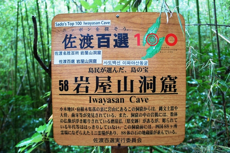 DSC04655_R
