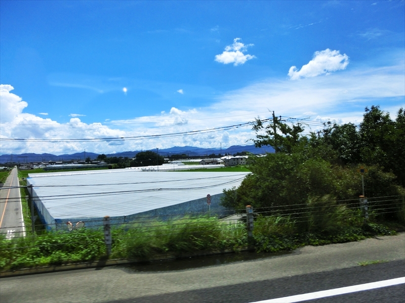 CIMG9993_R