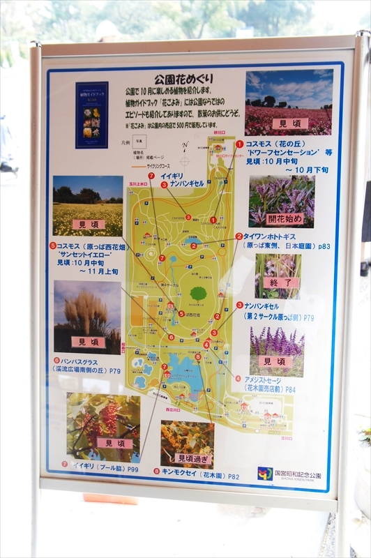 DSC00877_R