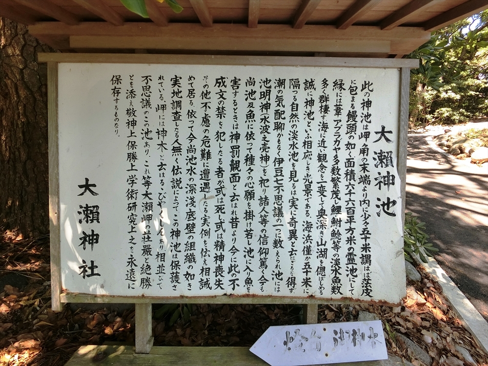 CIMG3774_R