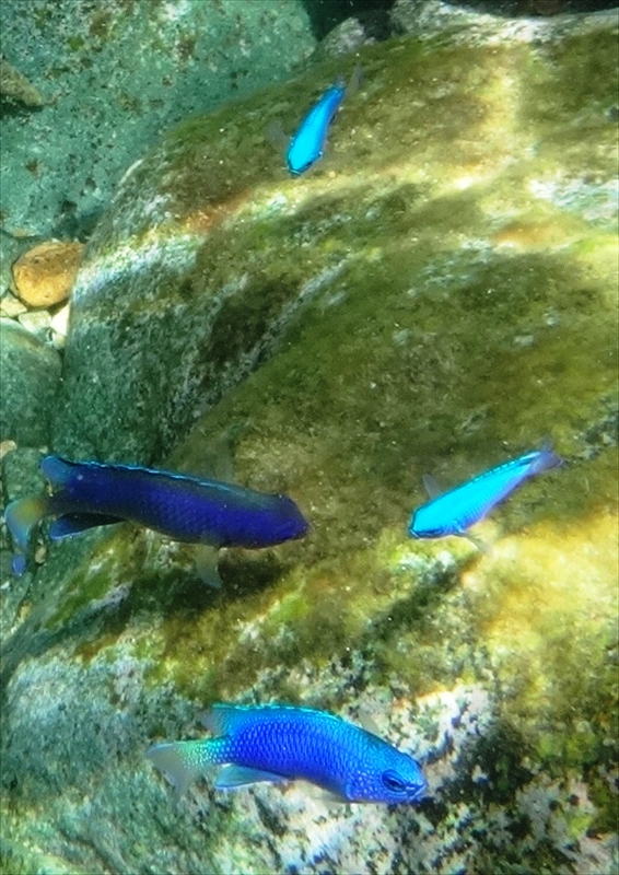 DSC0005_R