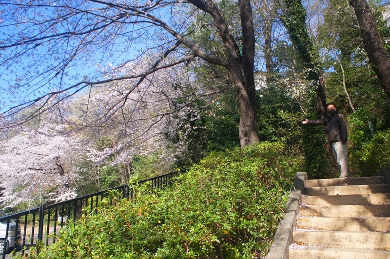 DSC00384_R