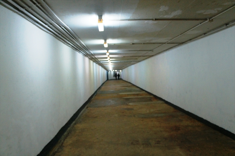 DSC00537_R