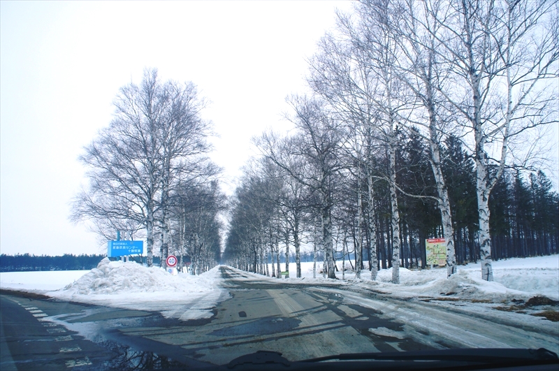 DSC00042_R
