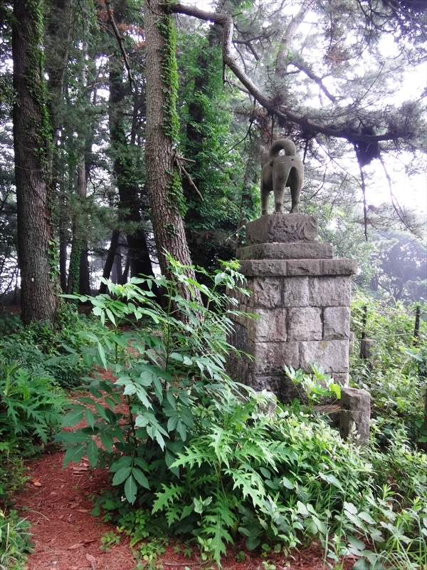 DSC06004_R