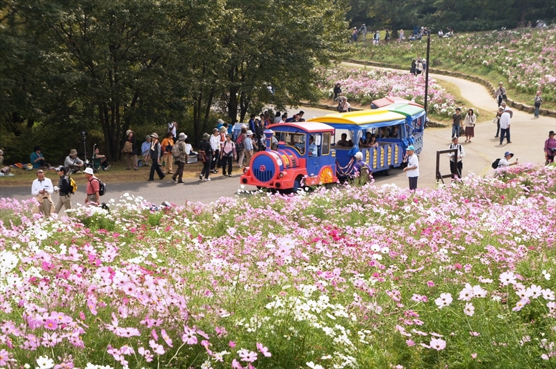 DSC00917_R