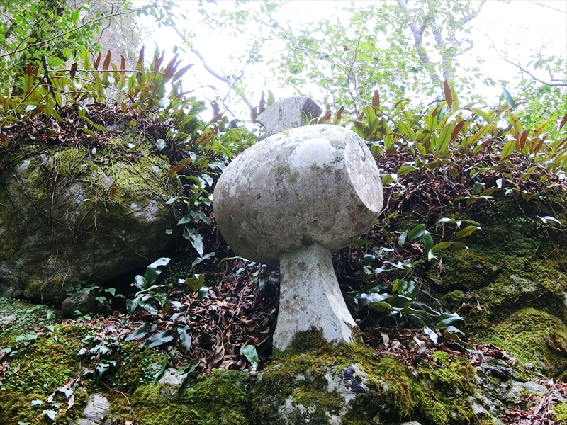 CIMG5680_R