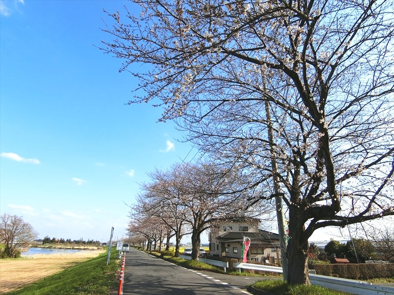 CIMG9046_R