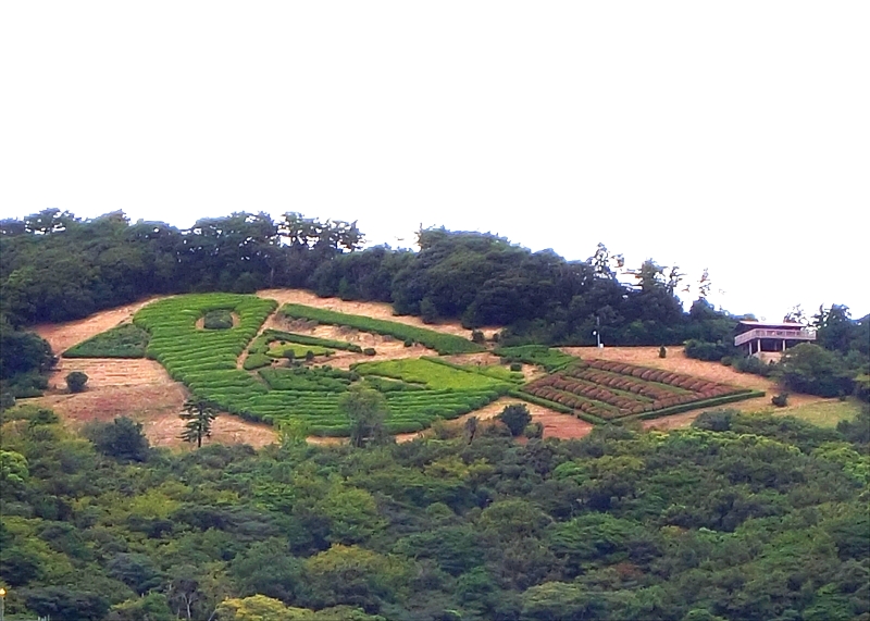 CIMG9365_R