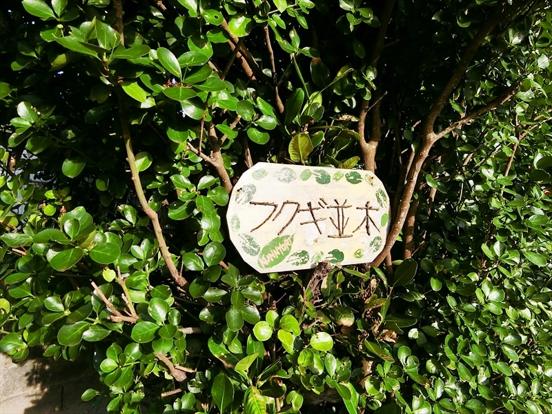 CIMG4420_R
