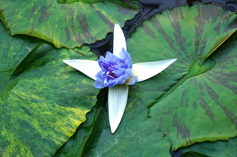 DSC00246_R