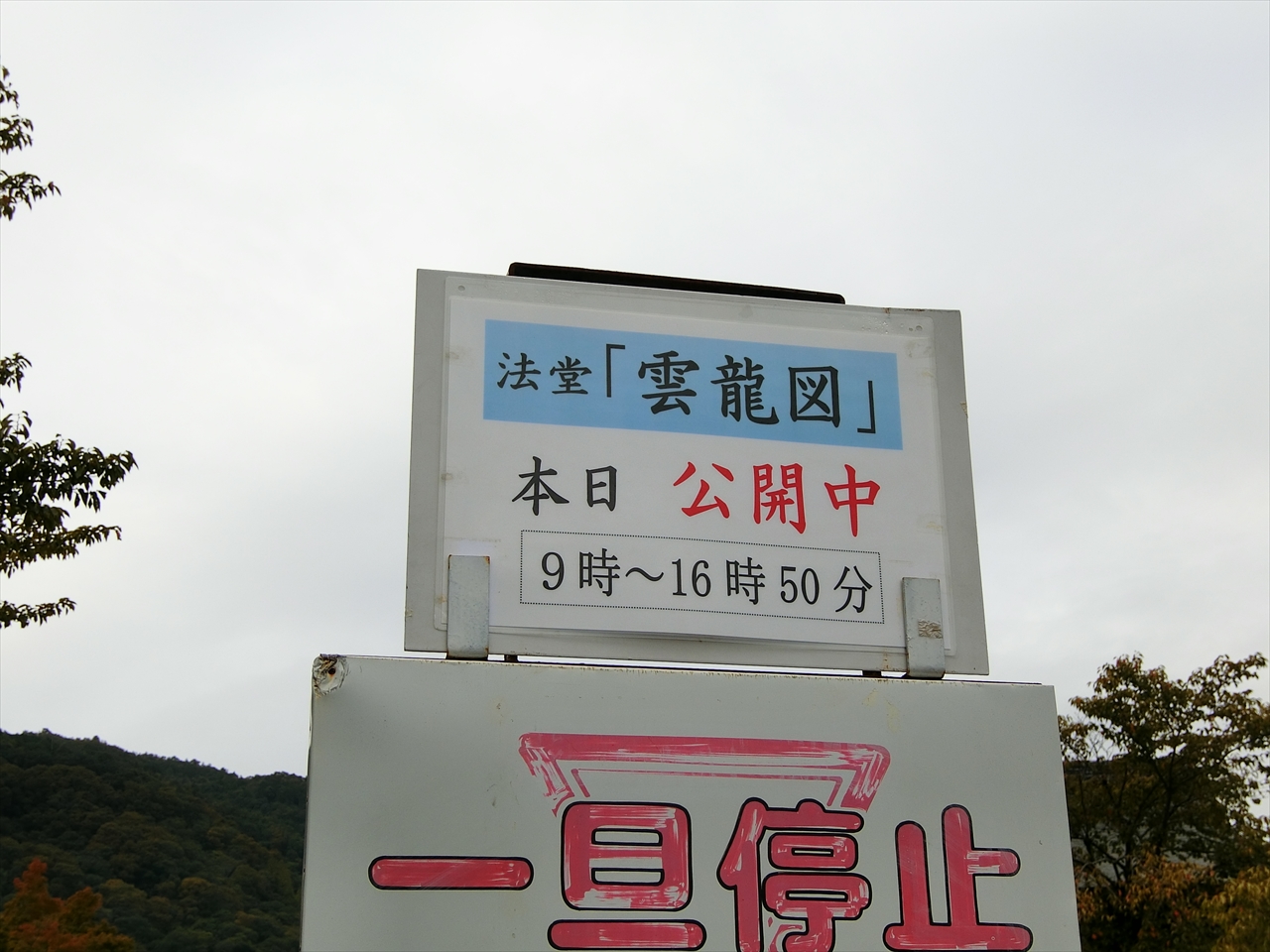 CIMG6498_R