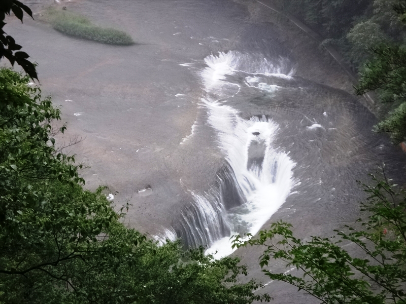 DSC02295_R