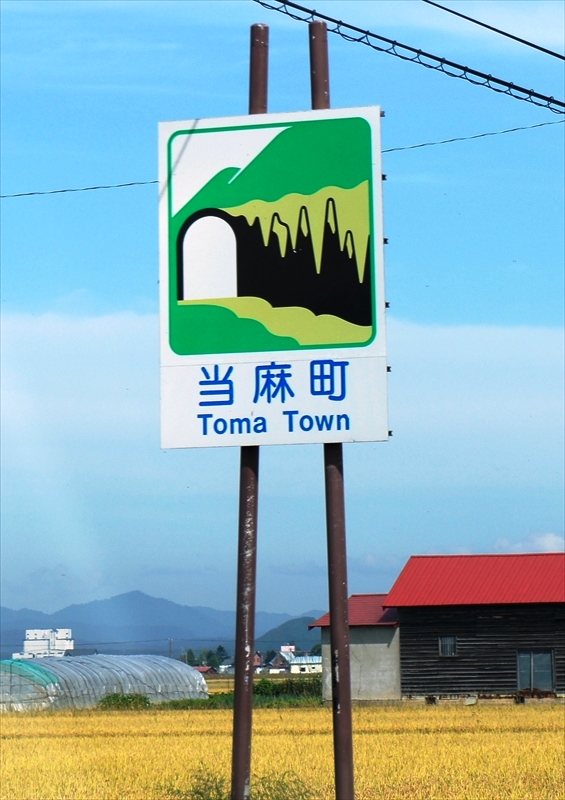 DSC01184_R