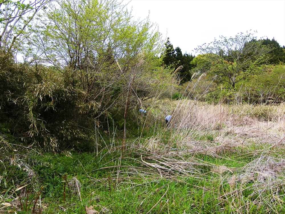 CIMG6626_R