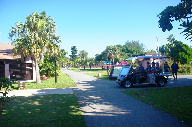 DSC00722_R