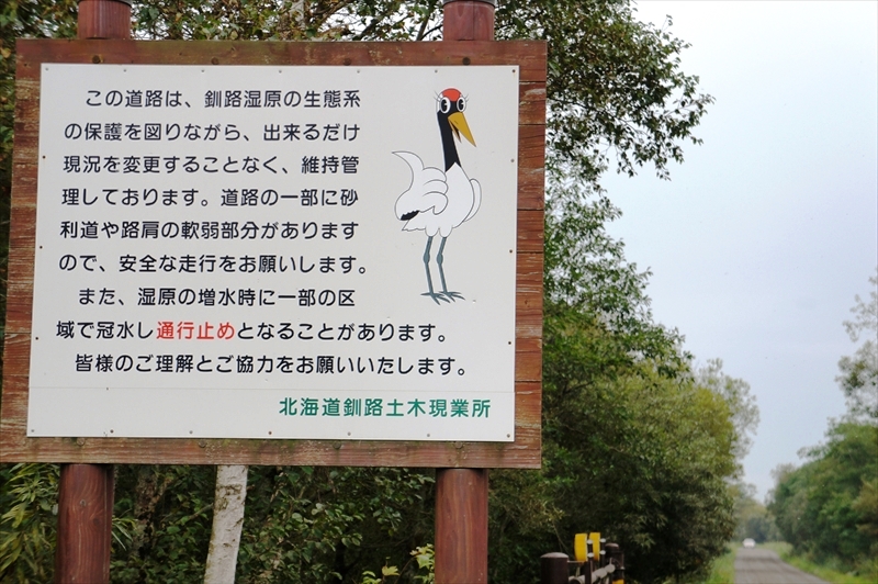 DSC00602_R