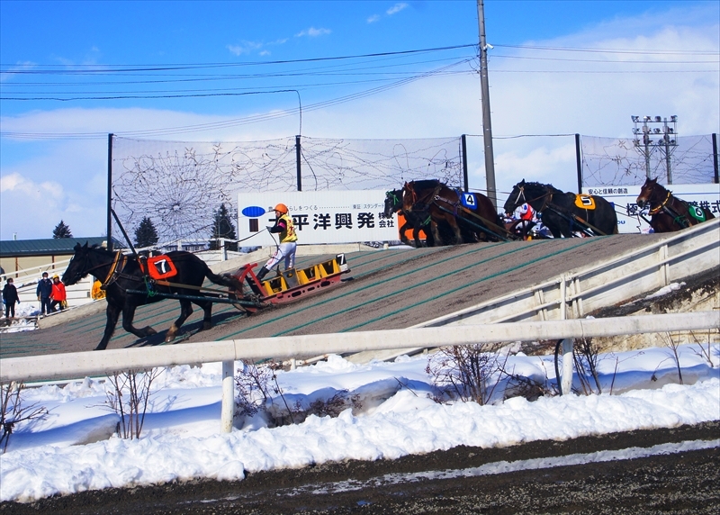 DSC00139_R