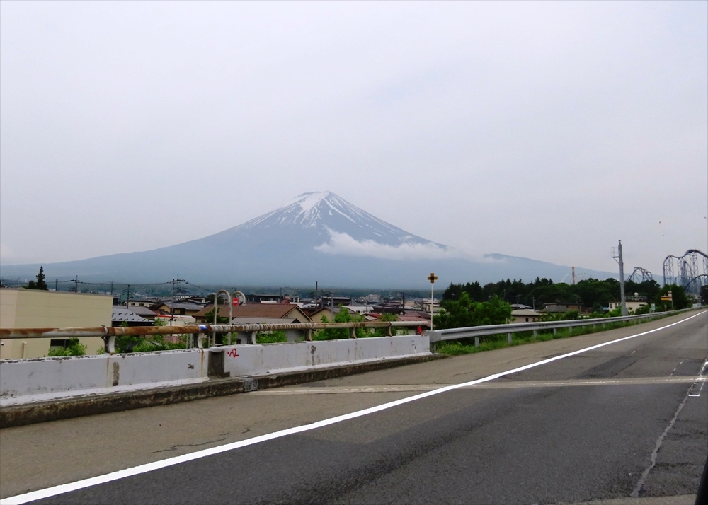 IMG_3528_R