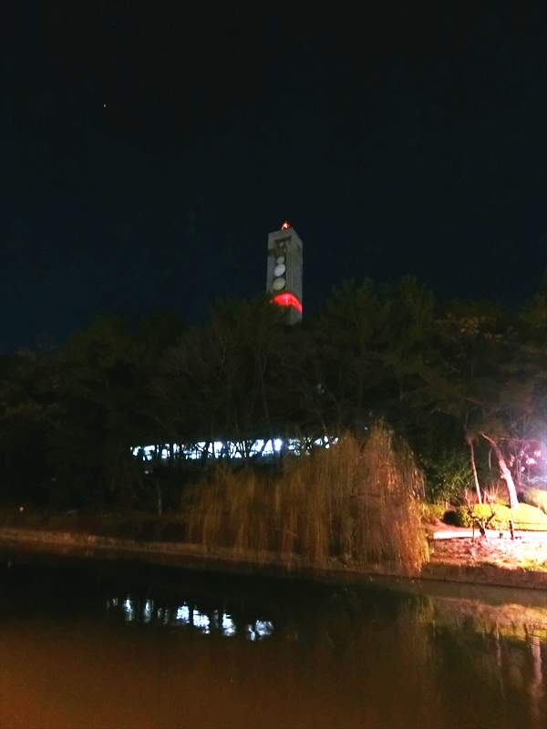 CIMG6838_R