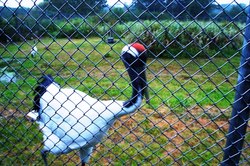 DSC00658_R