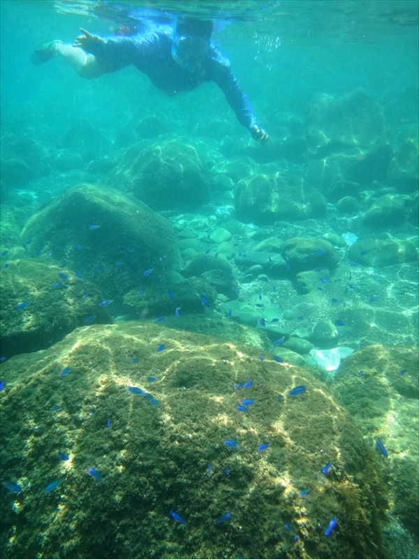 DSC03854_R