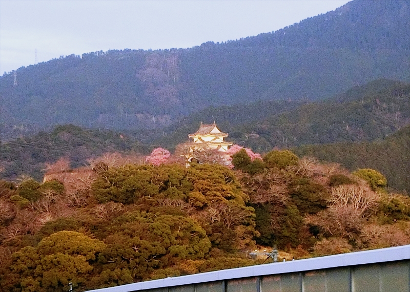 CIMG6744_R