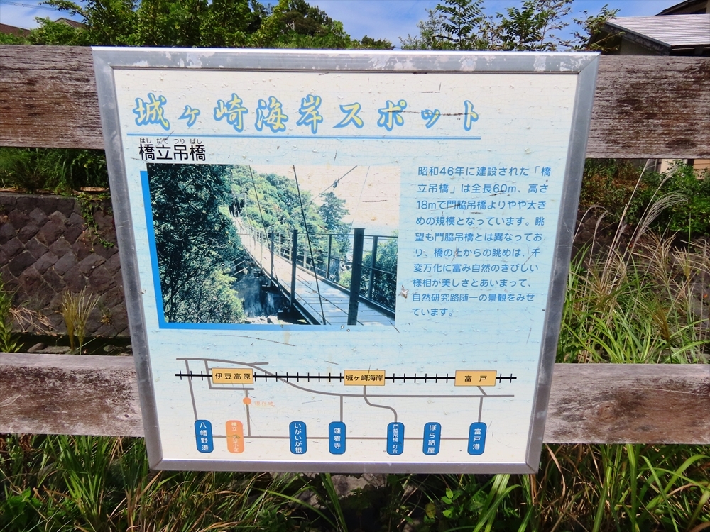 IMG_5676_R