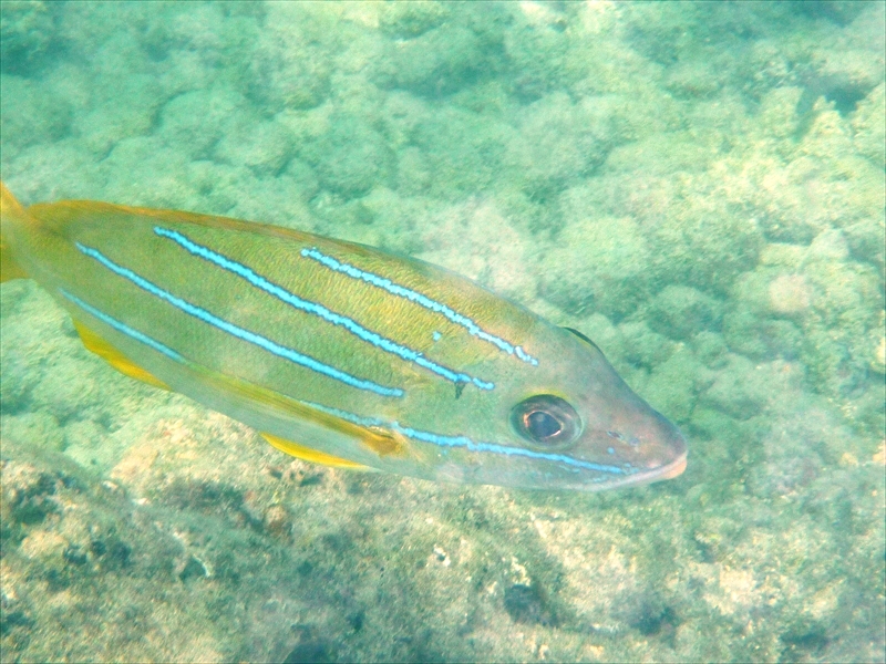 P1020078_R